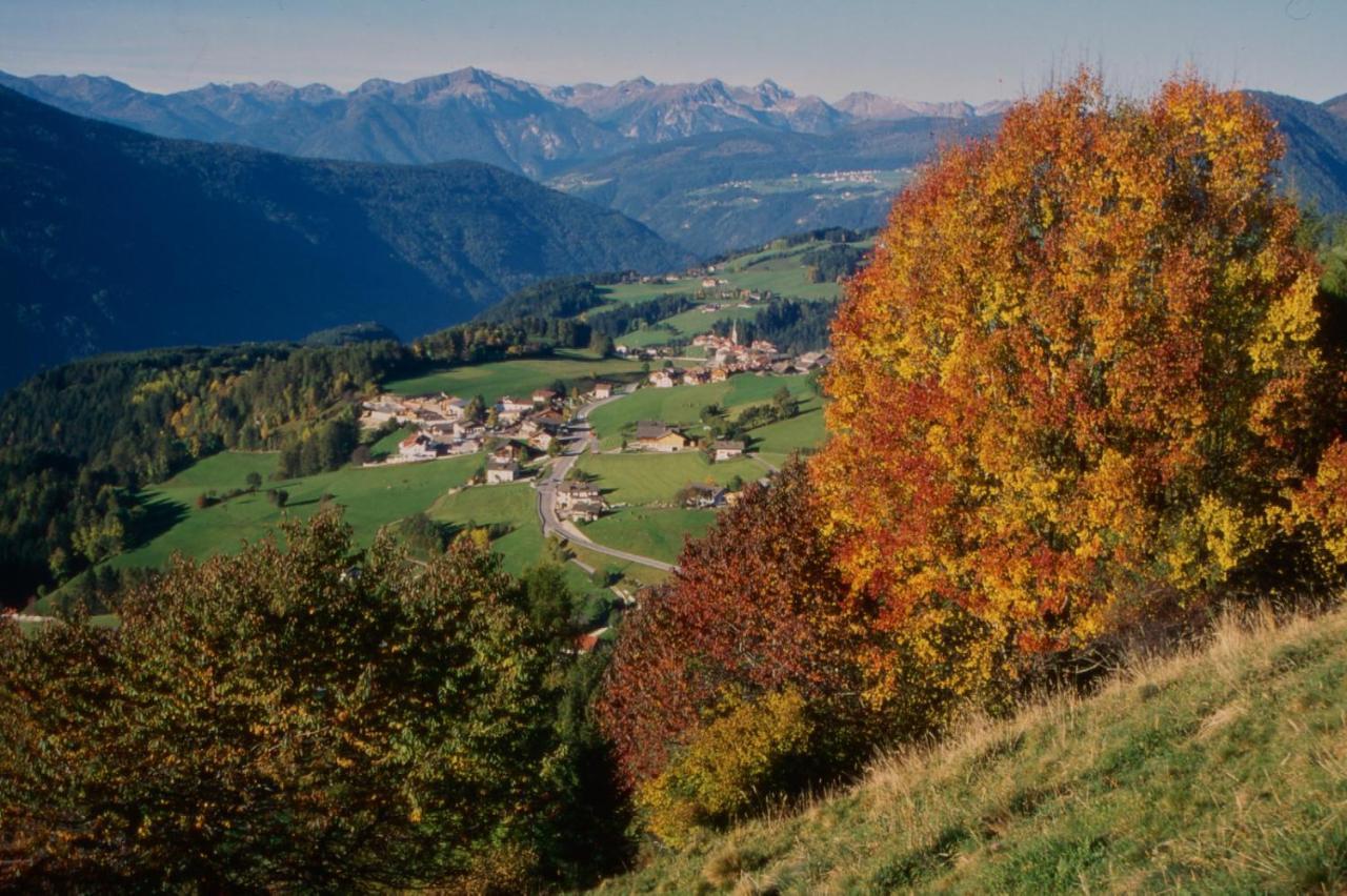 Perchnerhof Daire Terento Dış mekan fotoğraf