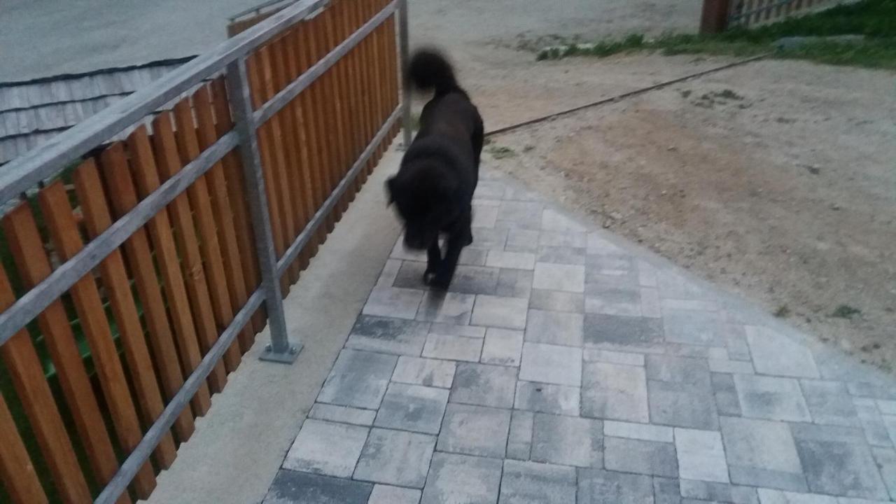 Perchnerhof Daire Terento Dış mekan fotoğraf