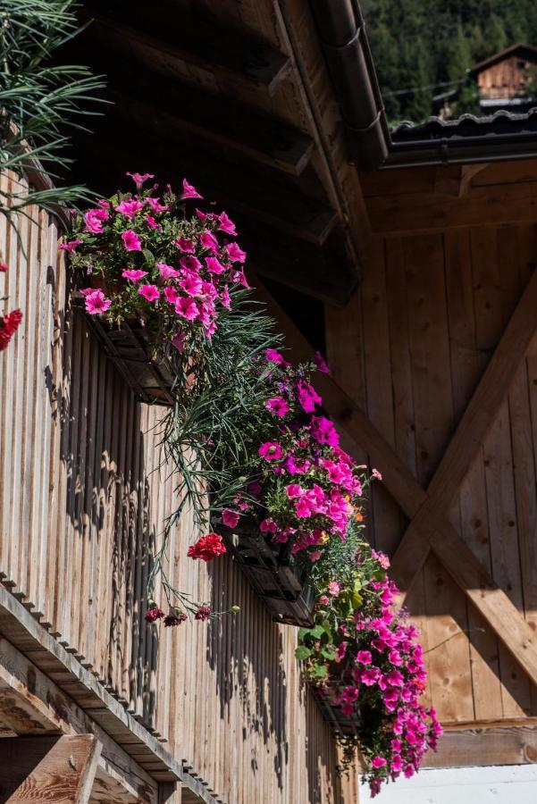 Perchnerhof Daire Terento Dış mekan fotoğraf