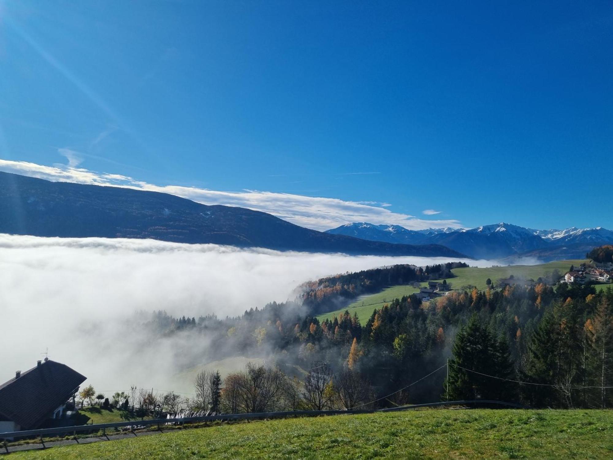 Perchnerhof Daire Terento Dış mekan fotoğraf